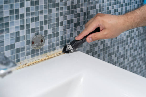 Best Mold Testing  in Ida Grove, IA